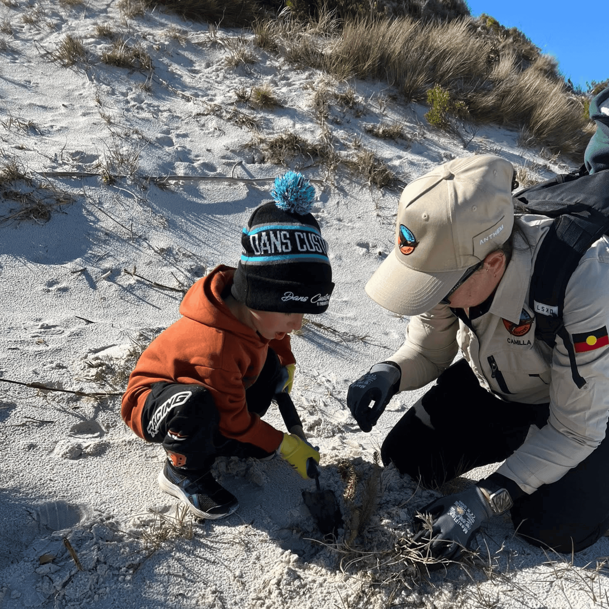 Drought Resilience Program Tebrakunna Ranger and child removing sea spurge