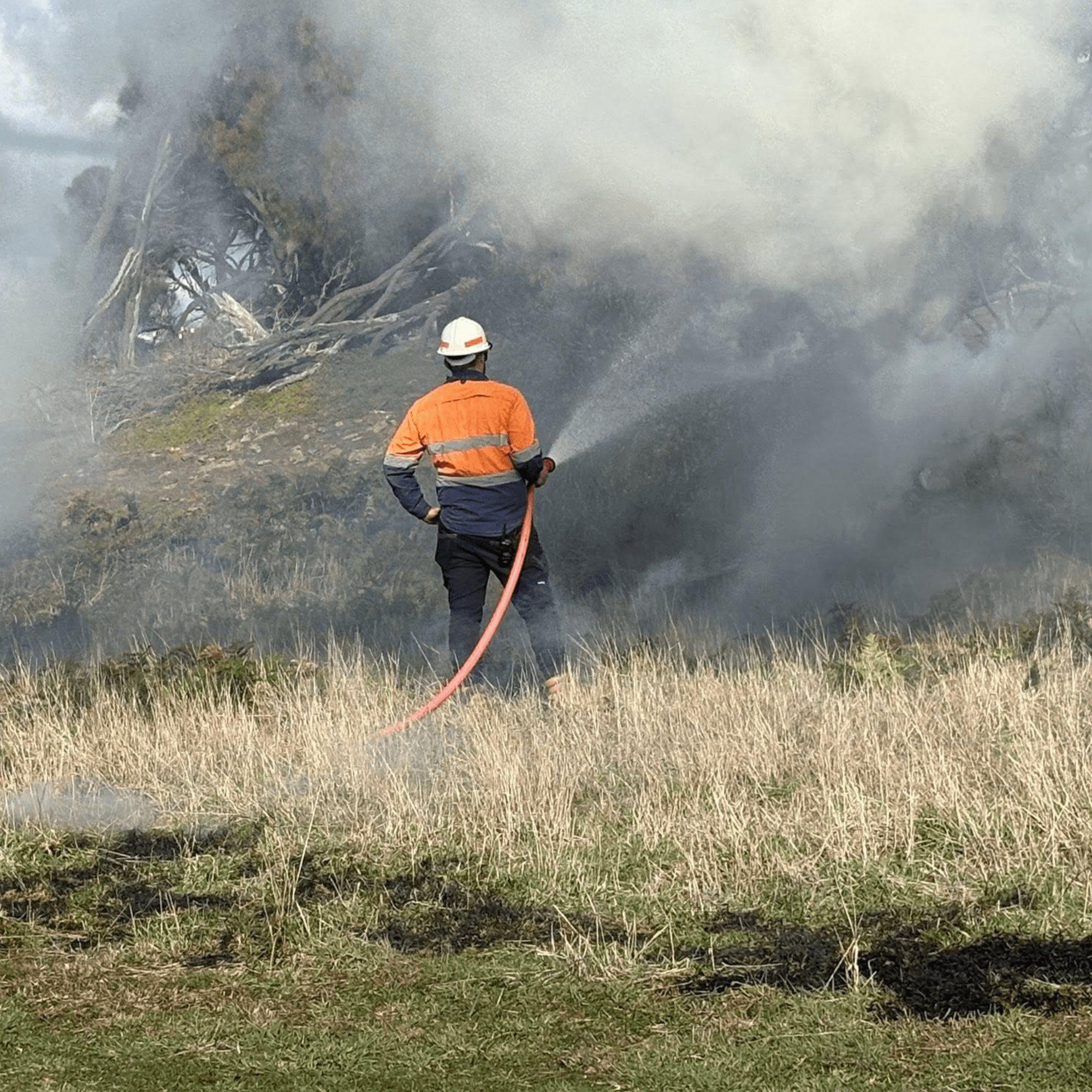 Cultural Burning Hose Aboriginal ranger with fire hose conducting cultural burning for land management