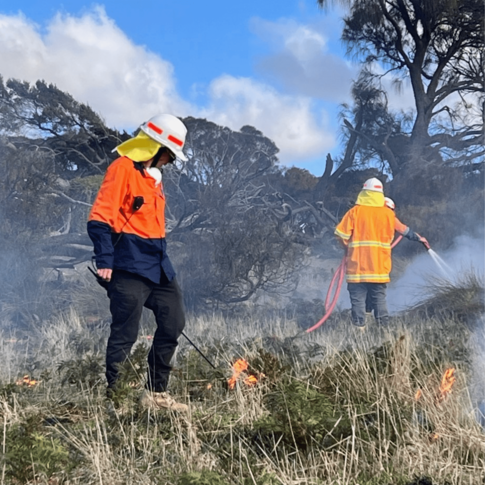 Fee for Service Aboriginal ranger with fire hose conducting cultural burning for land management